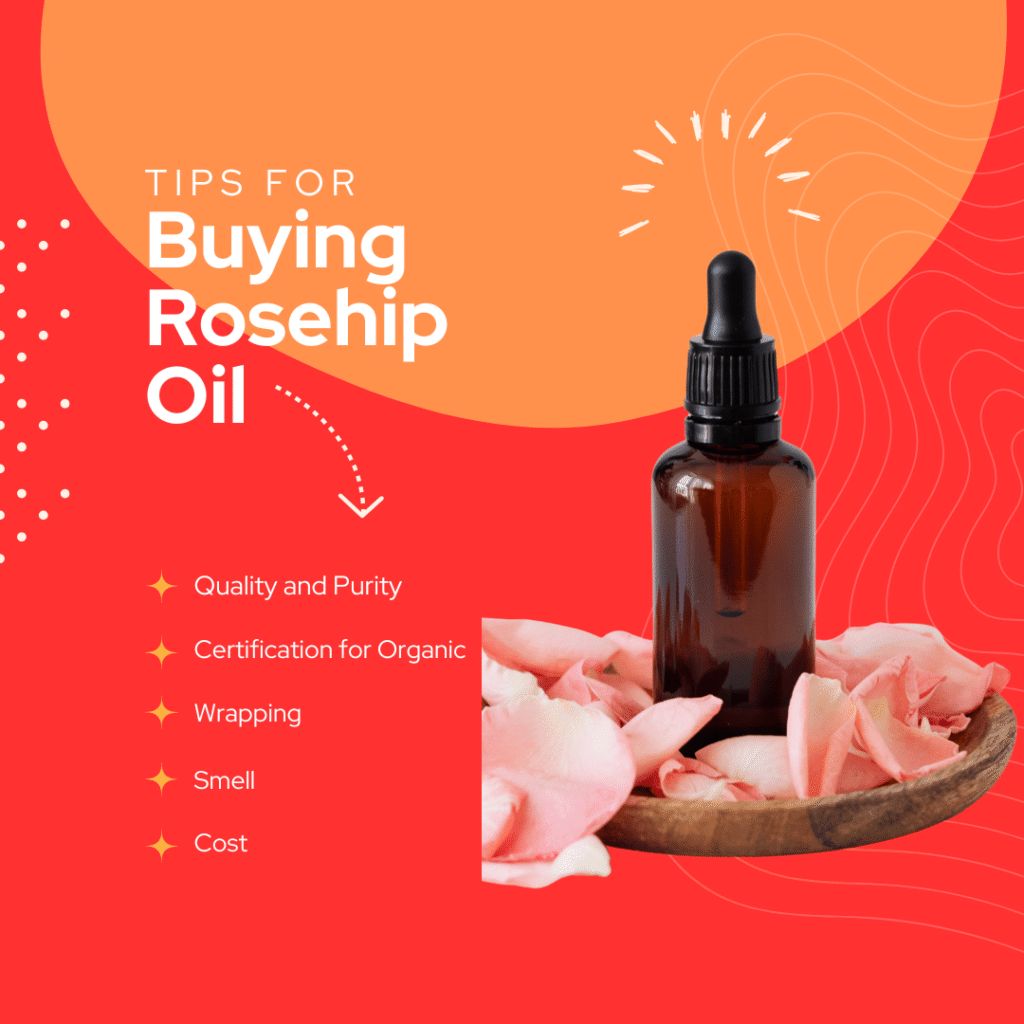 rosehip oil buying guide