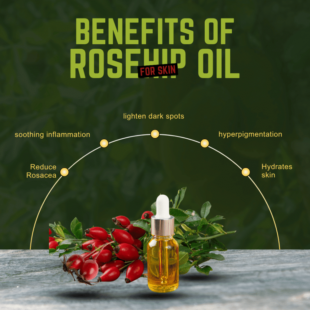 benefits of rosehip oil