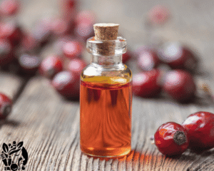 10 Best Organic Rosehip Oils for Face: Radiance in a Bottle